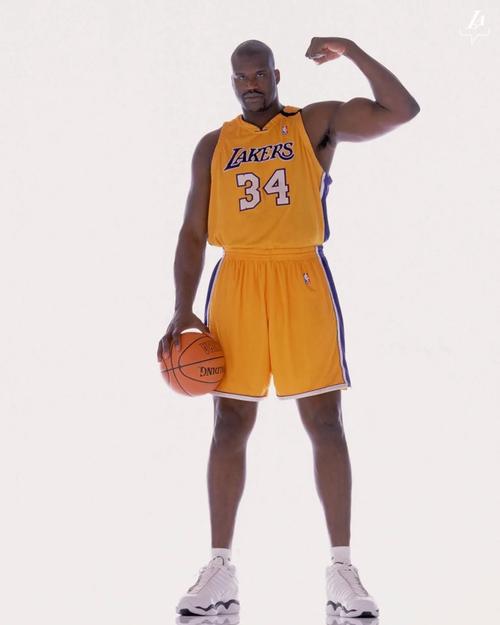 机构评近8年球队转会成功率排行榜：圣吉罗斯居首，小蜜蜂第4（机构盘点近8年球队转会成功率：圣吉罗斯第一，小蜜蜂第4）